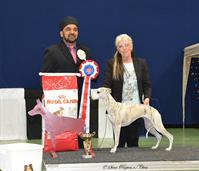 Yasmin Best In Show